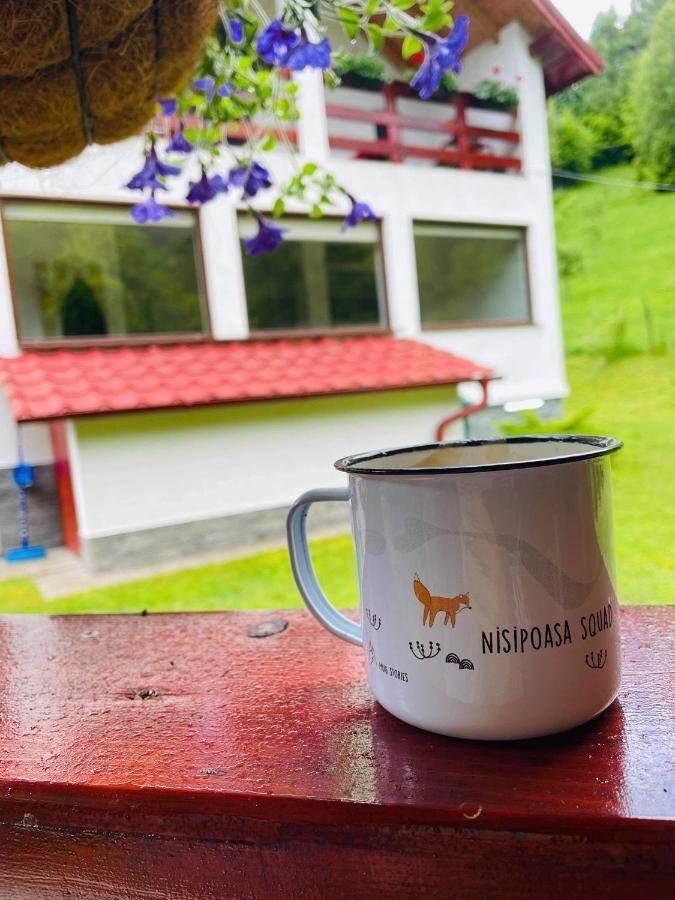 Cabana Nisipoasa Rîu de Mori Exterior foto